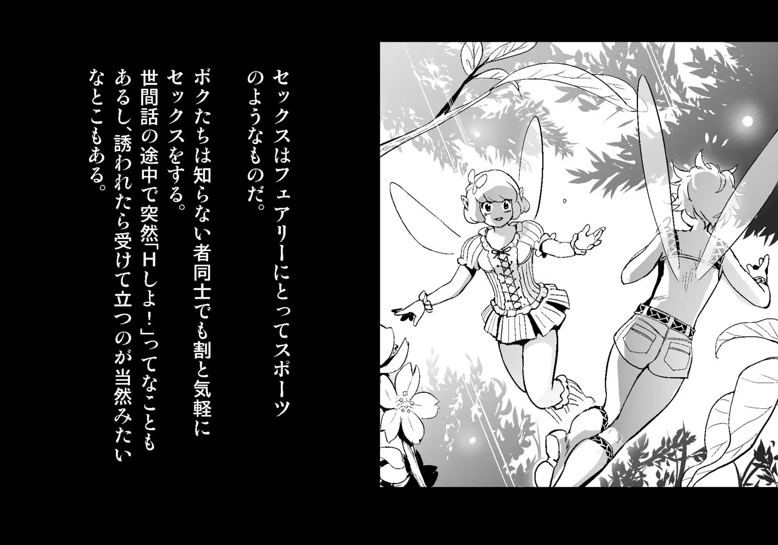 フェアリーセティ