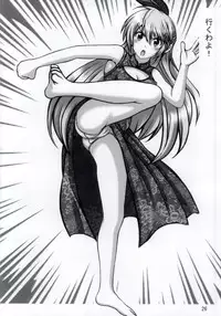 (C86) [Chinjuu Mufy (Oonita Hiroyuki, Nishi Tamao, Mash-san)] Nisekoi Matsuri (Nisekoi)