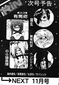 COMIC RiN [2008-10] Vol.46