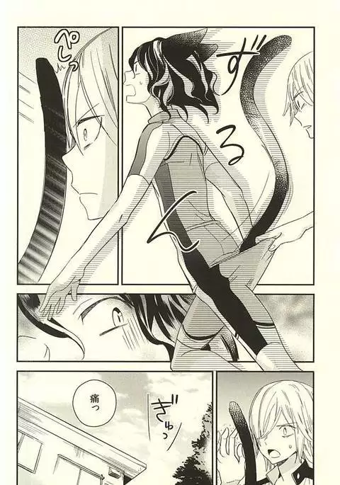 ネコでごめんニャ