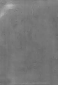 [Otabe Dynamite (Otabe Sakura)] Seiteki Okaruto (Occult Academy) [English] =Pineapples r' Us=