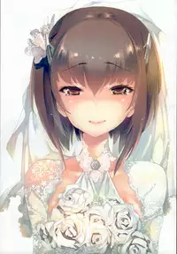 (C92) [Kamishiki (Kamizuki Shiki)] Taihou Collection (Kantai Collection -KanColle-)