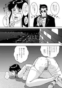 [Atelier Pinpoint (CRACK)] NIGHTFLY vol.2 LOCK STEADY (Cat's Eye)