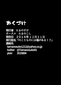 (C91) [Tamanokoshi (tamanosuke)] Nokorimono Niwa Fuku ga Aru !? (Pokémon) [Digital]