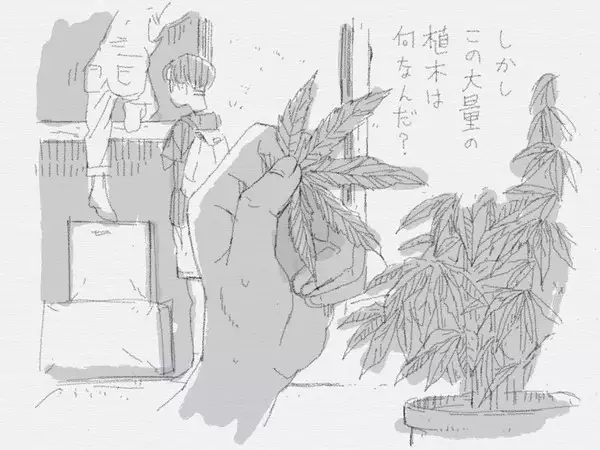 夏休みと蔵の中