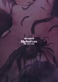 (C82) [Marked-two (Maa-kun)] Immoral/Zero (Fate/Zero)