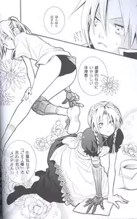 [Hakai Ryouiki (Yasuhara Yuki)] SUPER ordinary SEX (Fullmetal Alchemist)