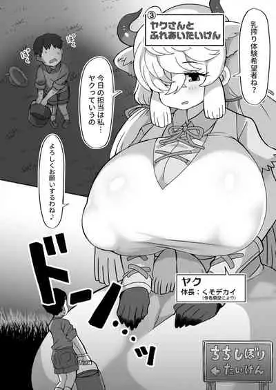 Okkii Friends Fureai Taiken