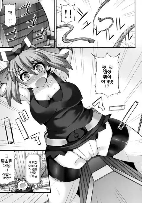 Karakuri Acme Yashiki | Karakuri Acme Mansion