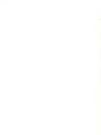 [黒社会 (香港之悪)] 七憐星 (Idol Project)