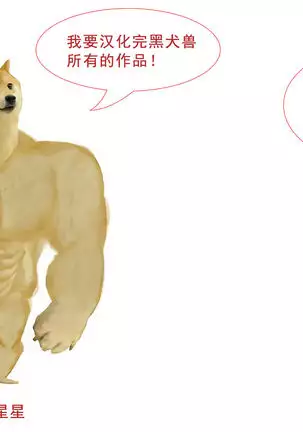 How to colorize and examples