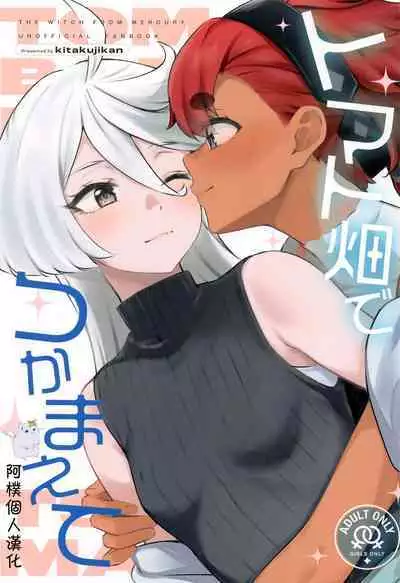 Tomato Batake de Tsukamaete | 番茄地里的守望者