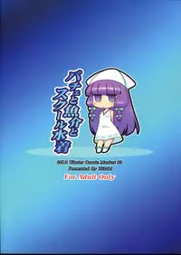 (C83) [Hibiki (Igan Seijin)] Pache to Gyokai to School Mizugi (Touhou Project)