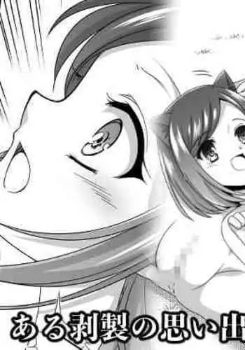 Aru Hakusei no Omoide Kouhen | The Memories of a Certain Stuffed Animal Part 2