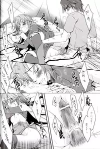 (C82) [ACIDSEA (Asuma Omi)] Satellite Rendezvous (Fire Emblem Awakening)