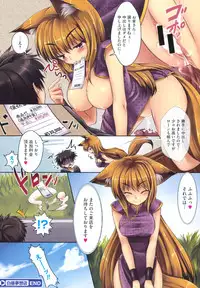 COMIC Megastore 2011-08