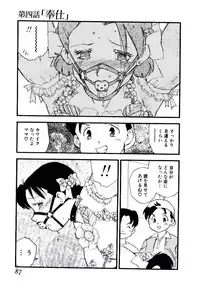 [Kaimeiji Yu] Volunteer Breeding