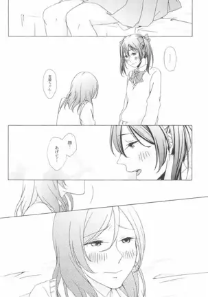 ペトリの朝に花束を