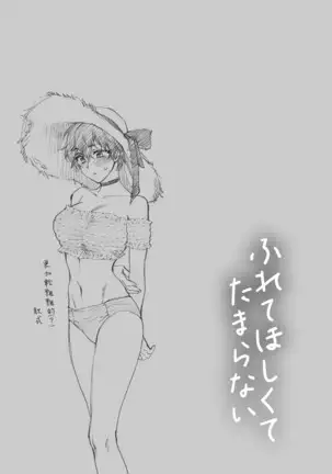 Natsu no Omoide Nokoshitai | 想留下夏天的回忆