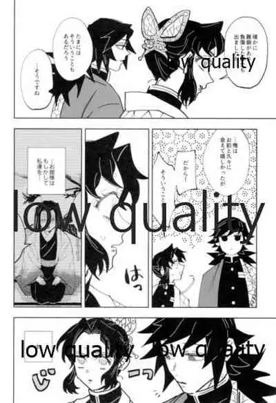 フクシアの花びら