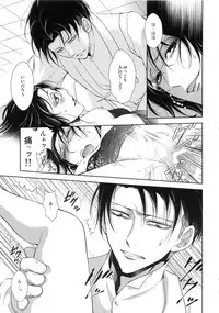 (Dai 4 Kai Hekigai Chousa Haku) [RIX (Mamiya)] Warudakumi (Shingeki no Kyojin)