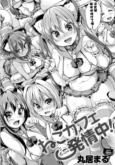 Neko Cafe Hatsujou Chuu! | 猫咪咖啡发情中