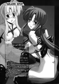(C73) [WARP LOOP (45ACP)] HARLAOWN REPORT (Mahou Shoujo Lyrical Nanoha)