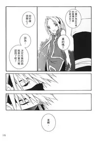 [Kishimoto Saisi] naruto ninja biography vol.06 (naruto) [chinese]