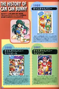 [Visual Fanbook][F&C] きゃんきゃんバニー プルミエール２攻略&設定資料集