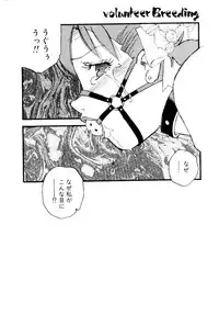 [Kaimeiji Yu] Volunteer Breeding