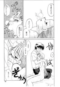 [Iwama Yoshiki] Cherry Blossom