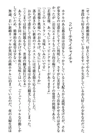 年上メイドの新婚日記
