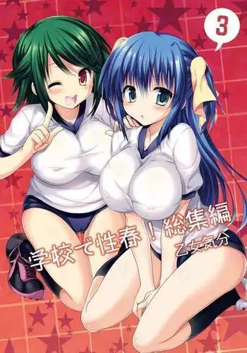 Gakkou de Seishun! Soushuuhen 3