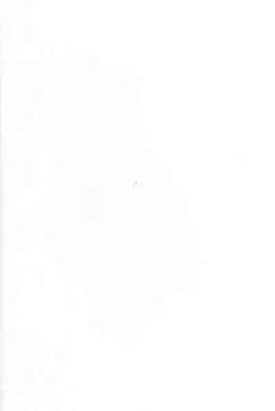 (C99) [Yamitsuki Honpo (Wise Speak)] Ryousai Oneshota Tamamo-chan (Fate/EXTRA)