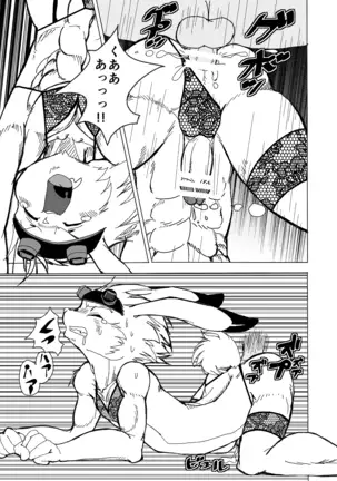 ケモLingerie Book+