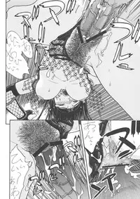 (C69) [From Japan (Aki Kyouma)] FIGHTERS GIGAMIX FGM Vol.25 (Rumble Roses)