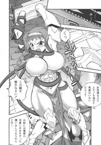 (C70) [Danbooru(Sagamiya Takafumi)] kenkirei (Queen's Blade)