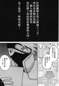 [Kishimoto Saisi] naruto ninja biography vol.06 (naruto) [chinese]