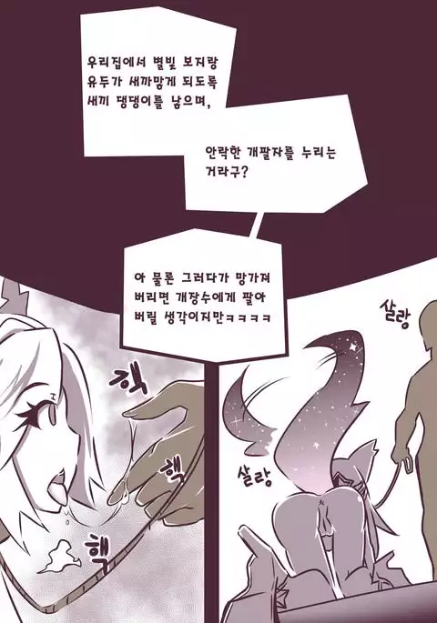 여우는 댕댕이과 2