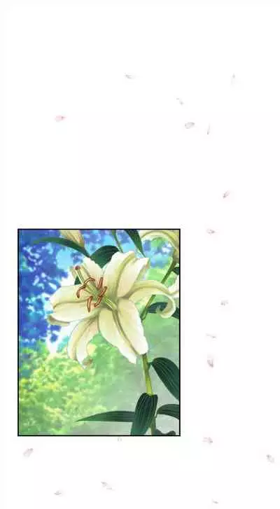 [龜足] S-Mate 1-100 官方中文（完結）