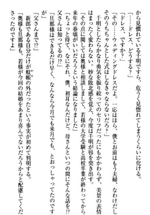 年上メイドの新婚日記