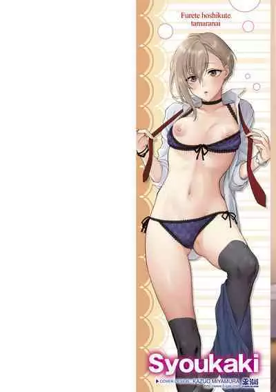 ふれてほしくて たまらない 未来數位、eve個人拼接版 無修正 DL版