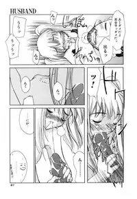 [Iwama Yoshiki] Cherry Blossom