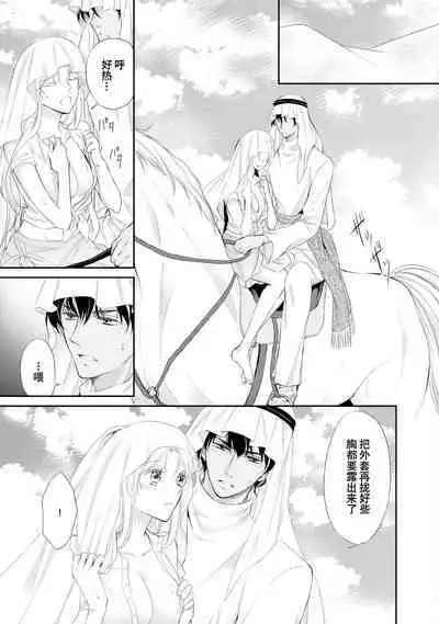 sabaku no ōji to kaizoku hime | 沙漠王子与海盗公主