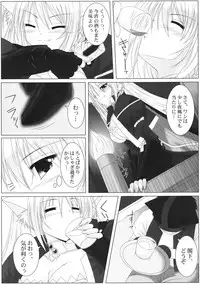 [Nomugicha & A.O.I (Ayato)] Passionate Cat (DOG DAYS) [Digital]