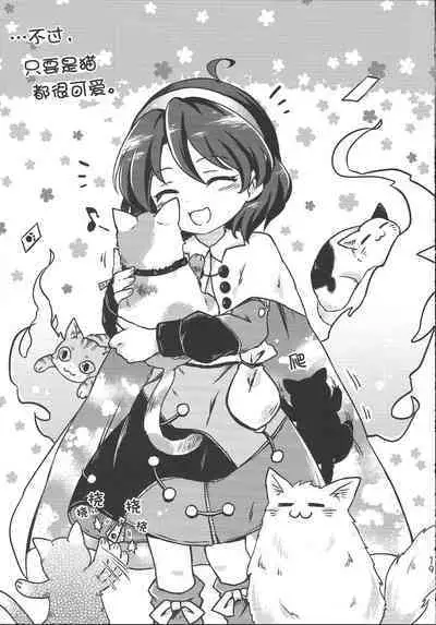 Chima Hon - Chima Book | 千亦酱的活动日志