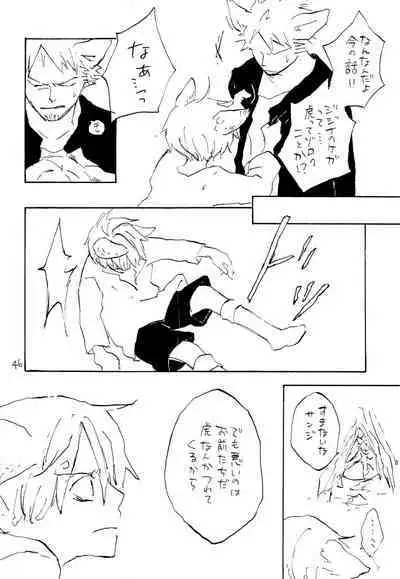 海の虹が沈む森