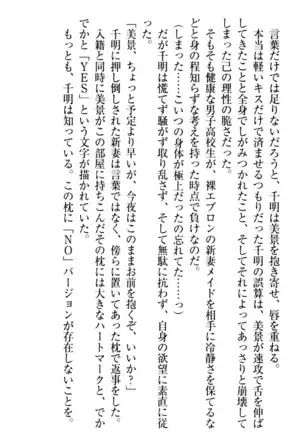 年上メイドの新婚日記