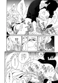 (CCOsaka79) [Zerohaku (Fuji Mako)] BUKURO No Shizuusagi (Durarara!!)