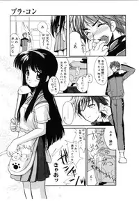 [Iwama Yoshiki] Cherry Blossom